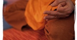 Cetro Yoga Satyam