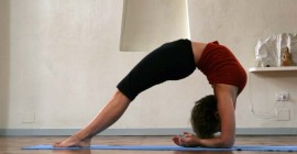 Centro Yoga Bhadra