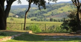 Centro Meditazione il Risveglio