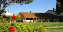 Centro Meditazione il Risveglio