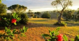 Centro Meditazione il Risveglio