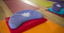 Ass. Culturale Jaya Satya Yoga