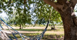 Zen Sicily, Centro Ritiri Yoga