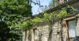 Ritiro Ashtanga Yoga Perugia