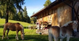 Yoga e Yogawalking in paradiso