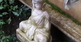 Centro Yoga LAKSHMI