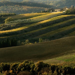 Paesaggio