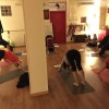 YOGA ROMA – ACCADEMIA DI ARTI ORIENTALI “Il Tempio dei 5 Elementi”