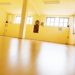 yoga-sattva-studio-milano-theprimerose-photography-by-rosa-tagliafierro-5242