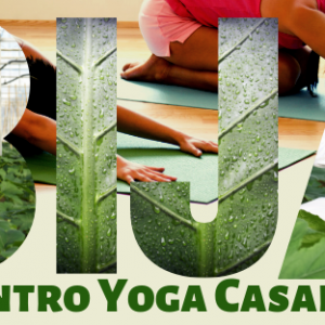 bija-centro-yoga-casalpalocco