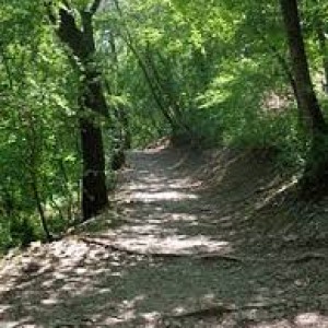images-1